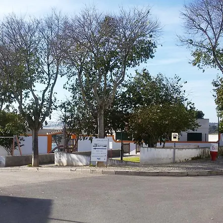 Poupa D'alvor