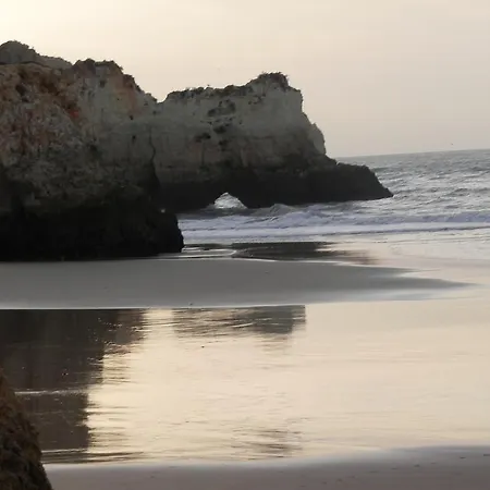 Poupa D'alvor *